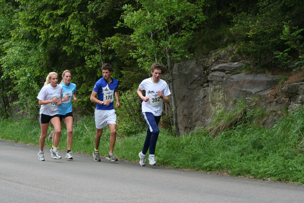 Grefsenkollen Opp 133