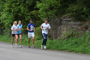 Grefsenkollen Opp 133